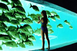 Hotel der Superlative: Atlantis, The Palm in Dubai