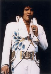 Elvis Presley Pfauen Anzug bringt 300.000 Dollar