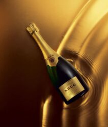 Krug Champagner