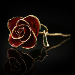 Valentins-Geschenk: rote Rose mit Gold überzogen