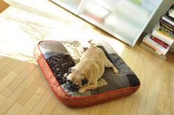 orthopädisches Hundekissen von pet-interios