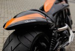 Special Edition der Harley Davidson V ROD von Bernhard Schwanitz