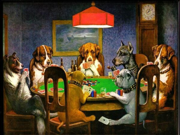 Pokerwissen für Anfänger
