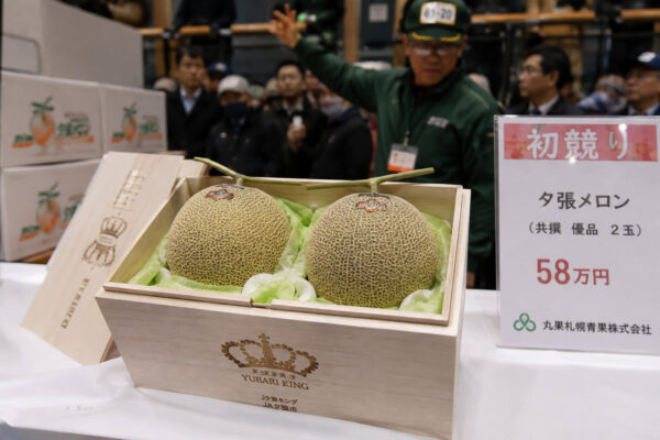 Die teuersten Früchte der Welt 2026: Preise, Rekorde & warum sie so kosten - Yubari King Melone